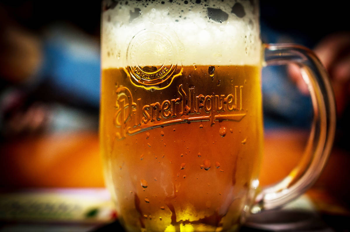 a mug of Pilsner Urquell