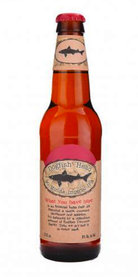 90 Minute IPA Dogfish Head Beer