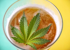 Beer Vs CBG: Is Cannabis Replacing Beer?