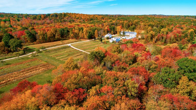 aerial shot of woodstock connecticut tree house location